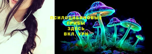 сатива Богородицк