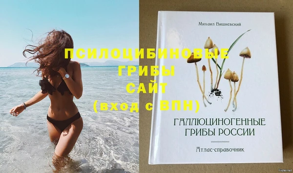 сатива Богородицк