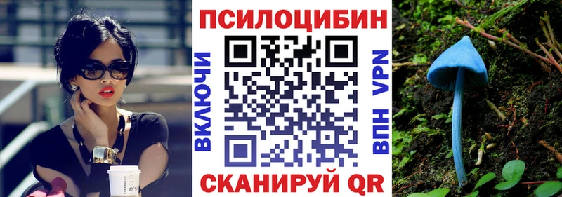 Псилоцибиновые грибы MAGIC MUSHROOMS  Пестово 