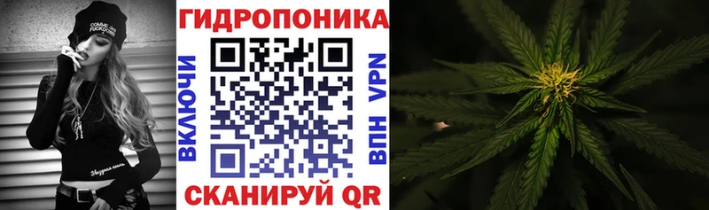 Канабис планчик  где продают   omg вход  Пестово 